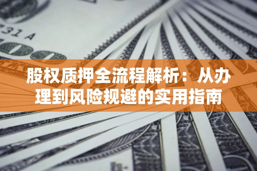 武汉股权质押全流程解析：从办理到风险规避的实用指南