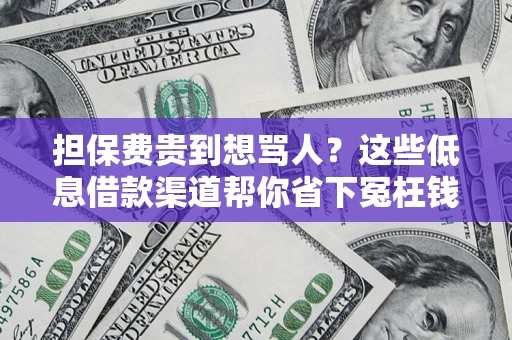 武汉担保费贵到想骂人？这些低息借款渠道帮你省下冤枉钱