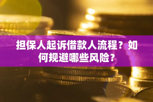 武汉担保人起诉借款人流程？如何规避哪些风险？