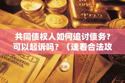 武汉共同债权人如何追讨债务？可以起诉吗？（速看合法攻略）