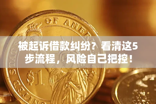 武汉被起诉借款纠纷？看清这5步流程，风险自己把控！